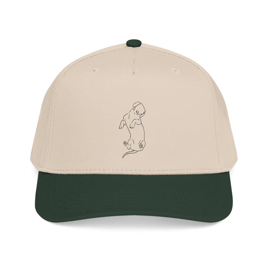 Dachshund Embroider Mid Profile Baseball Cap | Design 2